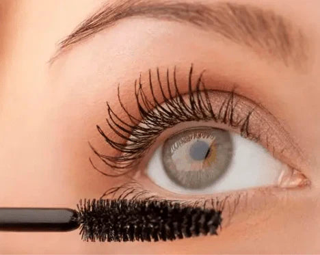 Warda Beauty - Max Bold Cover Mascara (Original)